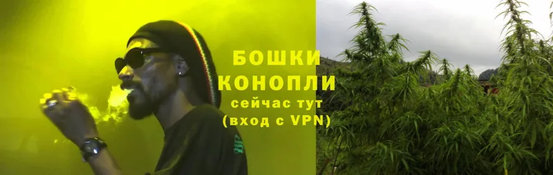 OMG маркетплейс  Горнозаводск  Бошки Шишки THC 21% 